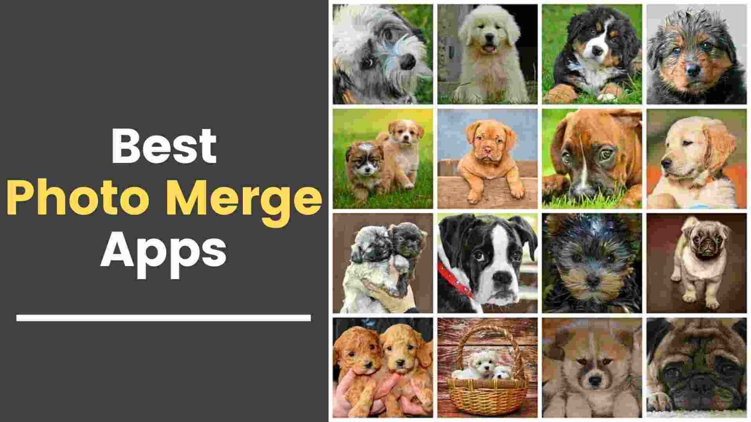 Best Photo Merge Apps Combine Pictures To Make One Picture
