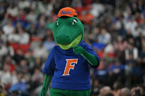 Fla Gators Football News