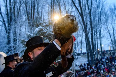 Celebrating Groundhog Day Traditions and Fun Facts Yearly