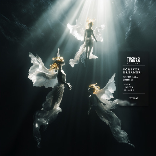 Navid Kaya Amp John M Forever Dreamer Unseen Remix